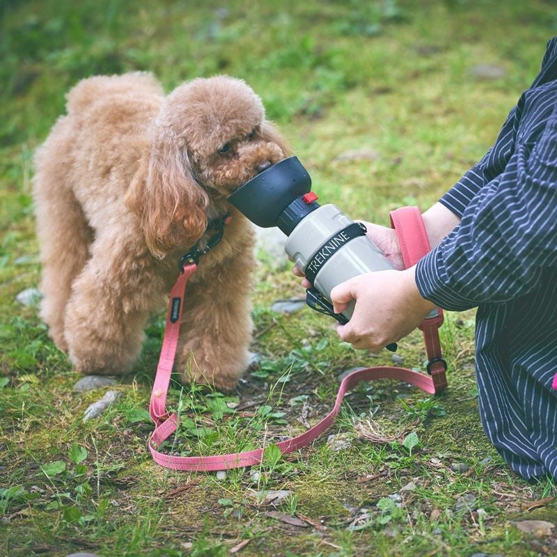 アイドッグ iDog TREKNINE FOLDABLE PET WATER BOTTLE 折りたたみ式給水ボトル トレックナイン アイドッグ[17648]【犬 食器 ダイニンググッズ フードボウル】