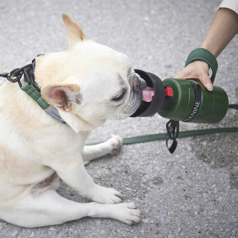 アイドッグ iDog TREKNINE FOLDABLE PET WATER BOTTLE 折りたたみ式給水ボトル トレックナイン アイドッグ[17648]【犬 食器 ダイニンググッズ フードボウル】