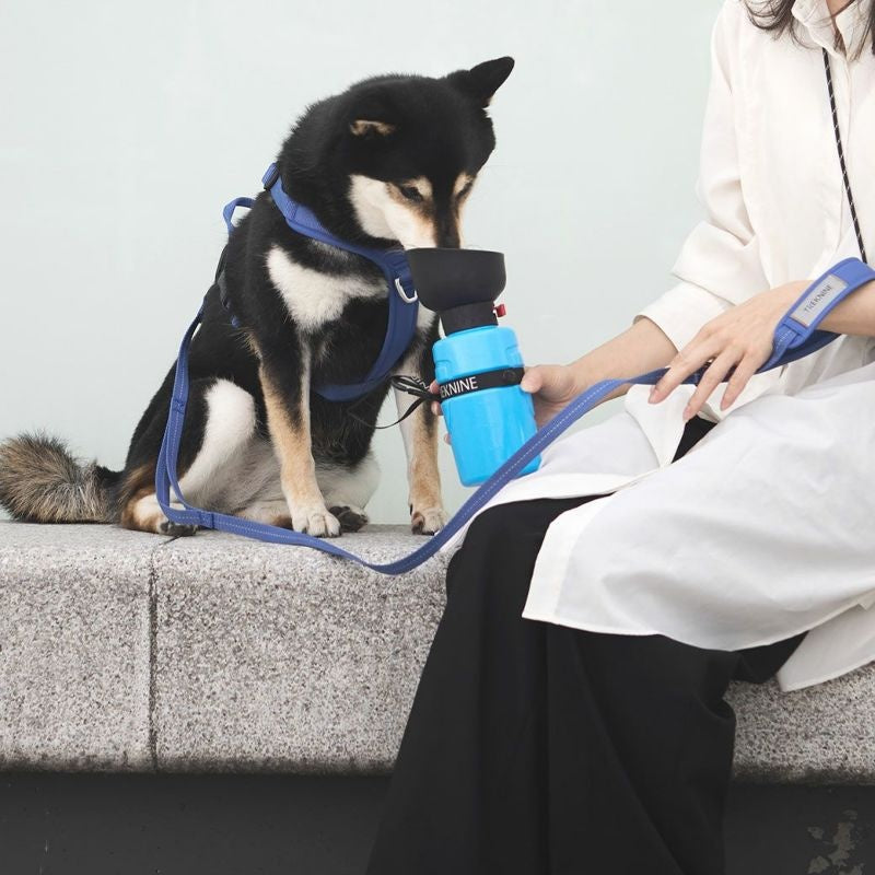 アイドッグ iDog TREKNINE FOLDABLE PET WATER BOTTLE 折りたたみ式給水ボトル トレックナイン アイドッグ[17648]【犬 食器 ダイニンググッズ フードボウル】
