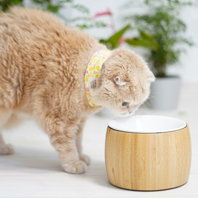 アイドッグ iDog pelpas ペルパ バンブー フードボウルスタンドセット アイドッグ[17459]【犬 食器 ダイニンググッズ フードボウル】