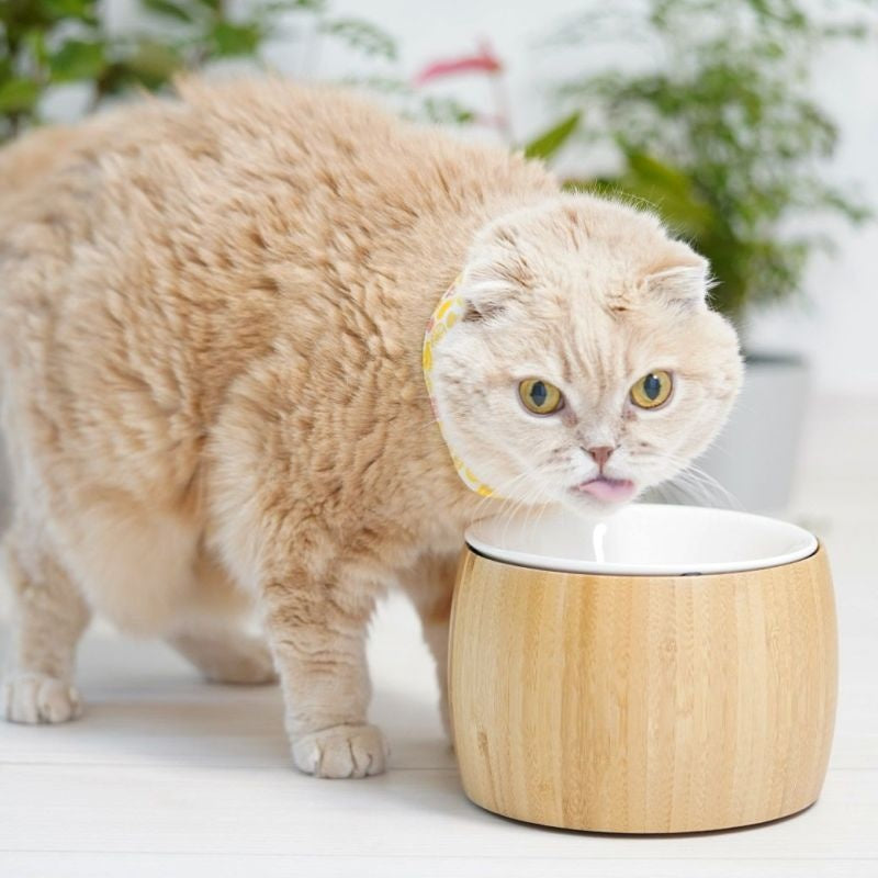 アイドッグ iDog pelpas ペルパ バンブー フードボウルスタンドセット アイドッグ[17459]【犬 食器 ダイニンググッズ フードボウル】