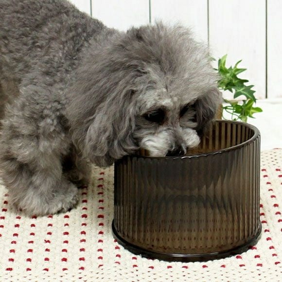 アイドッグ iDog LAULE'A コンフォート クリアフードボウル[14725]【犬 食器 ダイニンググッズ フードボウル】