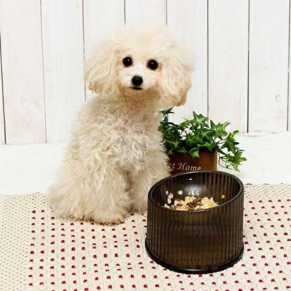 アイドッグ iDog LAULE'A コンフォート クリアフードボウル[14725]【犬 食器 ダイニンググッズ フードボウル】