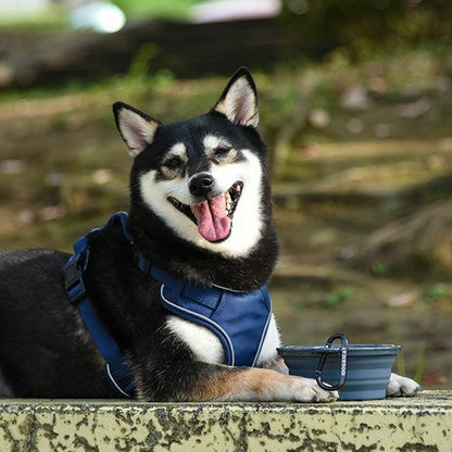 アイドッグ iDog 折り畳みシリコンフードボウル メール便OK[15542]【犬 食器 ダイニンググッズ フードボウル】