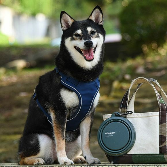 アイドッグ iDog 折り畳みシリコンフードボウル メール便OK[15542]【犬 食器 ダイニンググッズ フードボウル】