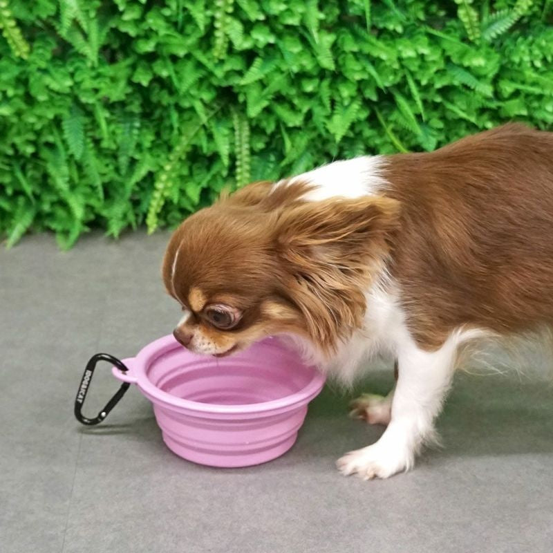 アイドッグ iDog 折り畳みシリコンフードボウル メール便OK[15542]【犬 食器 ダイニンググッズ フードボウル】