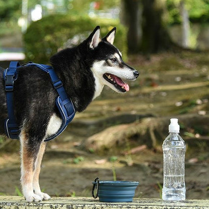 アイドッグ iDog 折り畳みシリコンフードボウル メール便OK[15542]【犬 食器 ダイニンググッズ フードボウル】