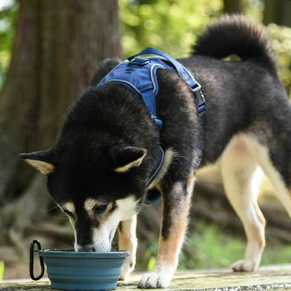 アイドッグ iDog 折り畳みシリコンフードボウル メール便OK[15542]【犬 食器 ダイニンググッズ フードボウル】