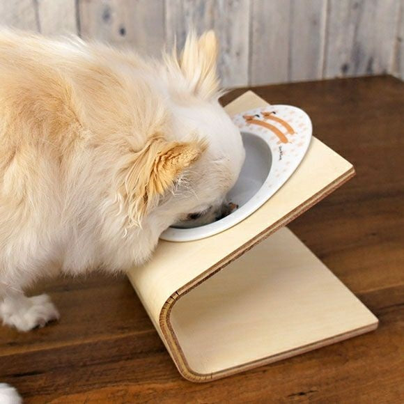 アイドッグ iDog オリジナル ドゥーエッグフードボウル 星とわんこ[BLFA035]【犬 食器 ダイニンググッズ フードボウル】