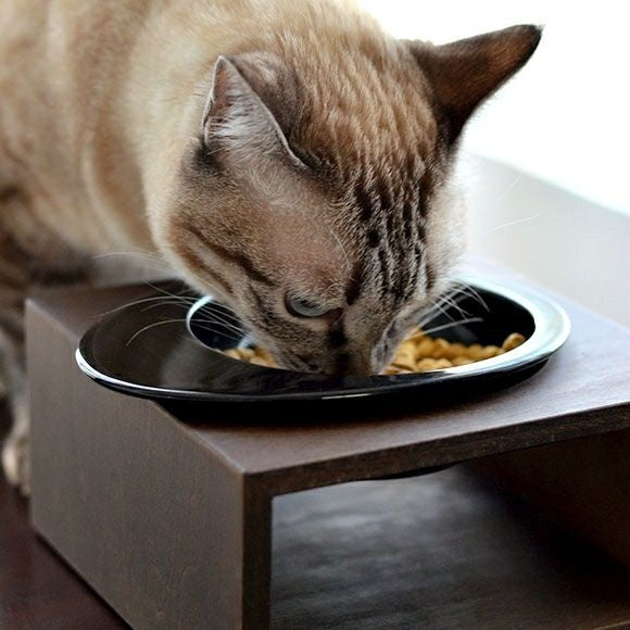 アイドッグ iDog Living Keat キートスクエア1 Sサイズ フードボウル別売[LI039S]【犬 食器 ダイニンググッズ フードボウル】