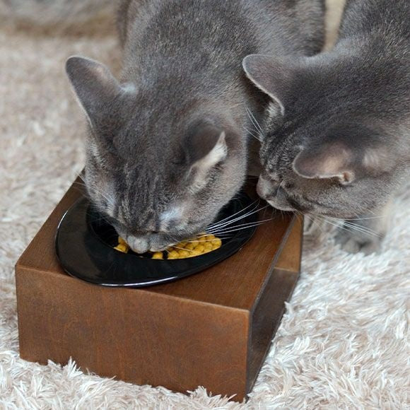 アイドッグ iDog Living Keat キートスクエア1 Sサイズ フードボウル別売[LI039S]【犬 食器 ダイニンググッズ フードボウル】