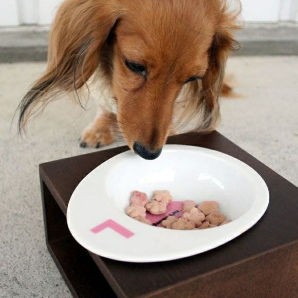 アイドッグ iDog Living Keat キートスクエア1 Sサイズ フードボウル別売[LI039S]【犬 食器 ダイニンググッズ フードボウル】