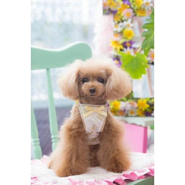 ブルブブ BUL BU-BU No.19 Icon O/P【小型犬 犬服 スカート ワンピース セレブ】