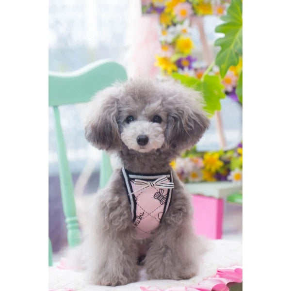 ブルブブBUL BU-BUワンピセットxxs ブルブブ BUL BU-BU Heartフード付きO/P XXS/XS 小型犬 犬服 ウエア