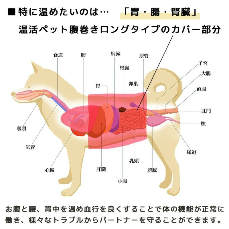 アイドッグ iDog UNAGE アンエイジ DANON ウェルネス温活ペット腹巻き ロングタイプ アイドッグ メール便OK[16850]【シニア 犬用 服 セレブ】