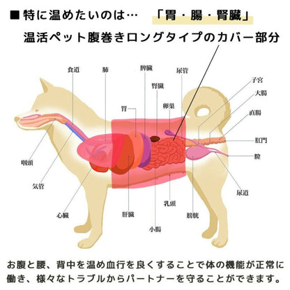 アイドッグ iDog UNAGE アンエイジ DANON ウェルネス温活ペット腹巻き ロングタイプ アイドッグ メール便OK[16850]【シニア 犬用 服 セレブ】