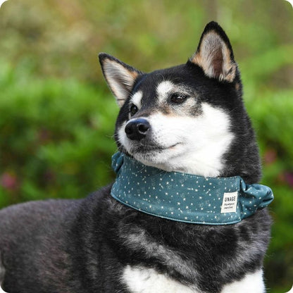 アイドッグ iDog UNAGE アンエイジ DANON ウェルネスシュシュ アイドッグ メール便OK[16770]【シニア 犬用 服 セレブ】