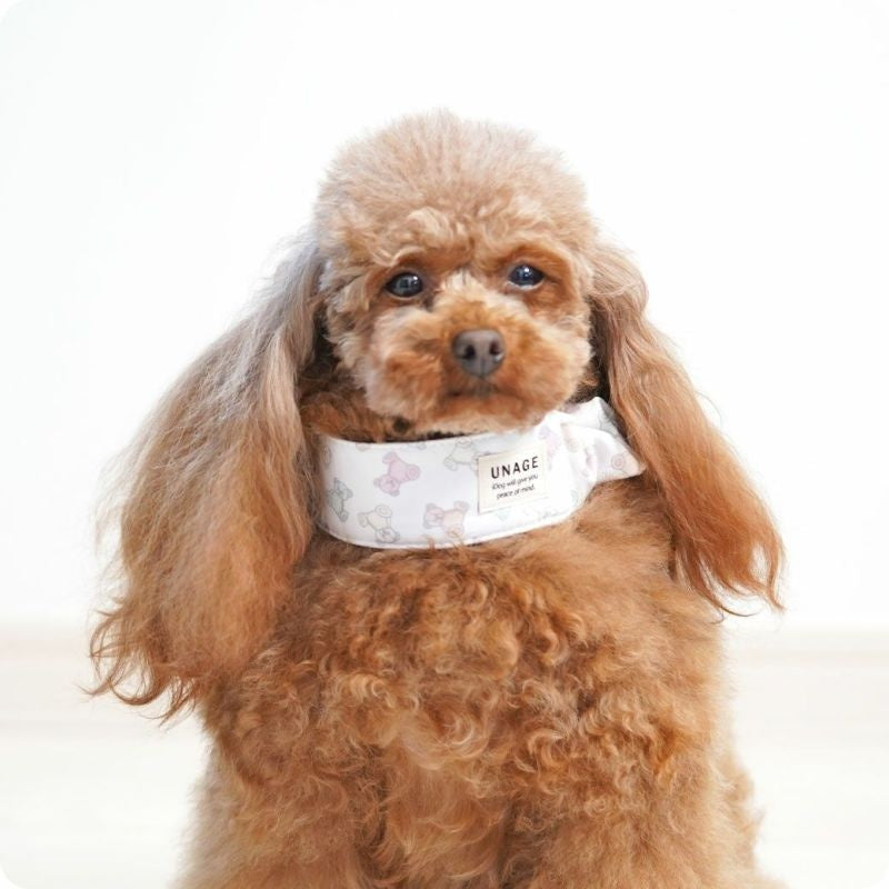 アイドッグ iDog UNAGE アンエイジ DANON ウェルネスシュシュ アイドッグ メール便OK[16770]【シニア 犬用 服 セレブ】