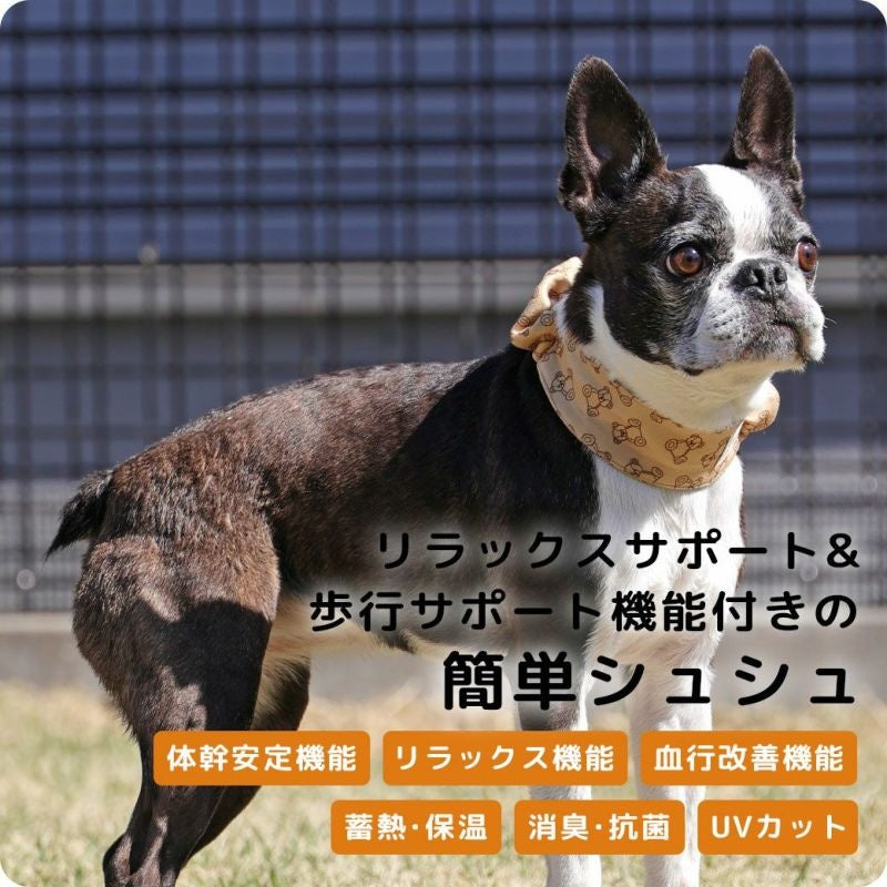 アイドッグ iDog UNAGE アンエイジ DANON ウェルネスシュシュ アイドッグ メール便OK[16770]【シニア 犬用 服 セレブ】