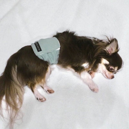 アイドッグ iDog UNAGE SPA アンエイジスパ 腹巻き アイドッグ メール便OK[17173]【シニア 犬用 服 セレブ】