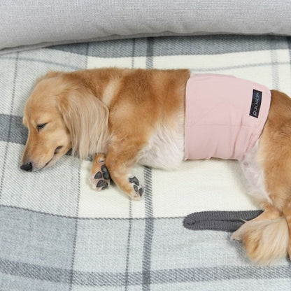 アイドッグ iDog UNAGE SPA アンエイジスパ 腹巻き アイドッグ メール便OK[17173]【シニア 犬用 服 セレブ】