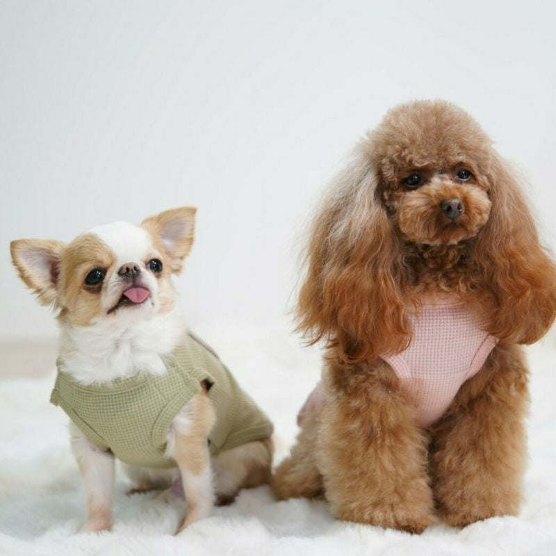 アイドッグ iDog UNAGE ウェルネスウェア 寝たまま着れる介護服 アイドッグ メール便OK[17810]【シニア 犬用 服 セレブ】