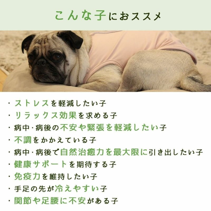 アイドッグ iDog UNAGE SPA アンエイジスパ 背中開きタンク アイドッグ メール便OK[17174]【シニア 犬用 服 セレブ】