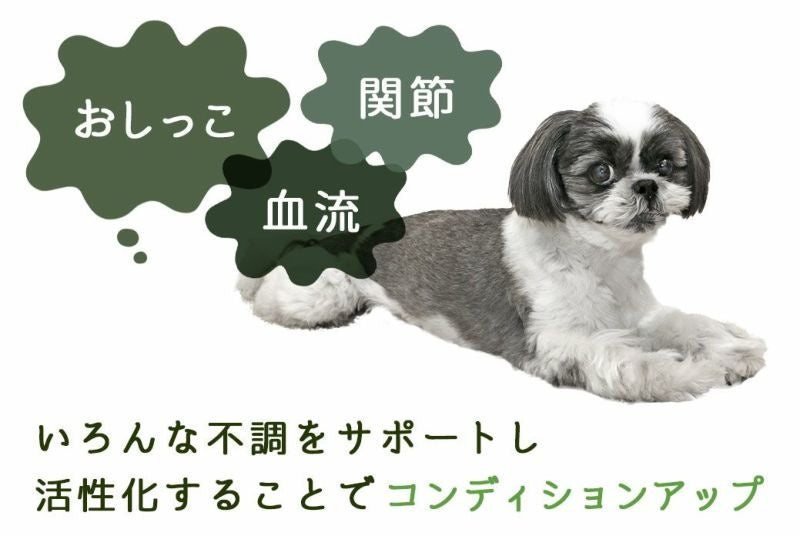 アイドッグ iDog UNAGE SPA アンエイジスパ 背中開きタンク アイドッグ メール便OK[17174]【シニア 犬用 服 セレブ】