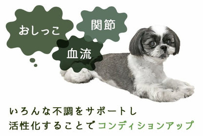 アイドッグ iDog UNAGE SPA アンエイジスパ 背中開きタンク アイドッグ メール便OK[17174]【シニア 犬用 服 セレブ】