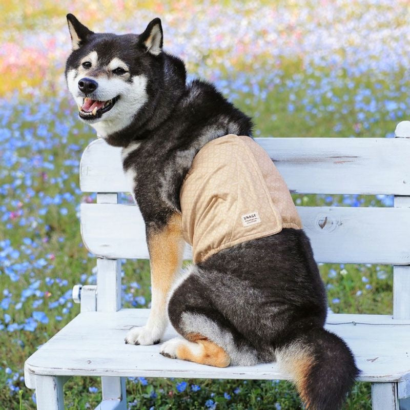 アイドッグ iDog UNAGE アンエイジ DANON 中大型犬用 ウェルネス温活ペット腹巻き アイドッグ メール便OK[16879]【シニア 犬用 服 セレブ】
