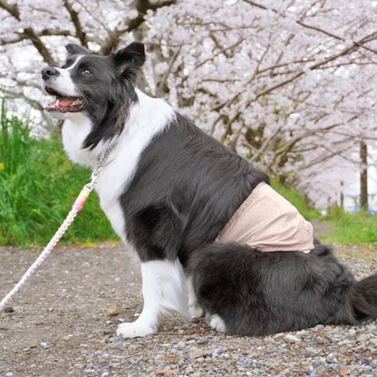 アイドッグ iDog UNAGE アンエイジ DANON 中大型犬用 ウェルネス温活ペット腹巻き アイドッグ メール便OK[16879]【シニア 犬用 服 セレブ】