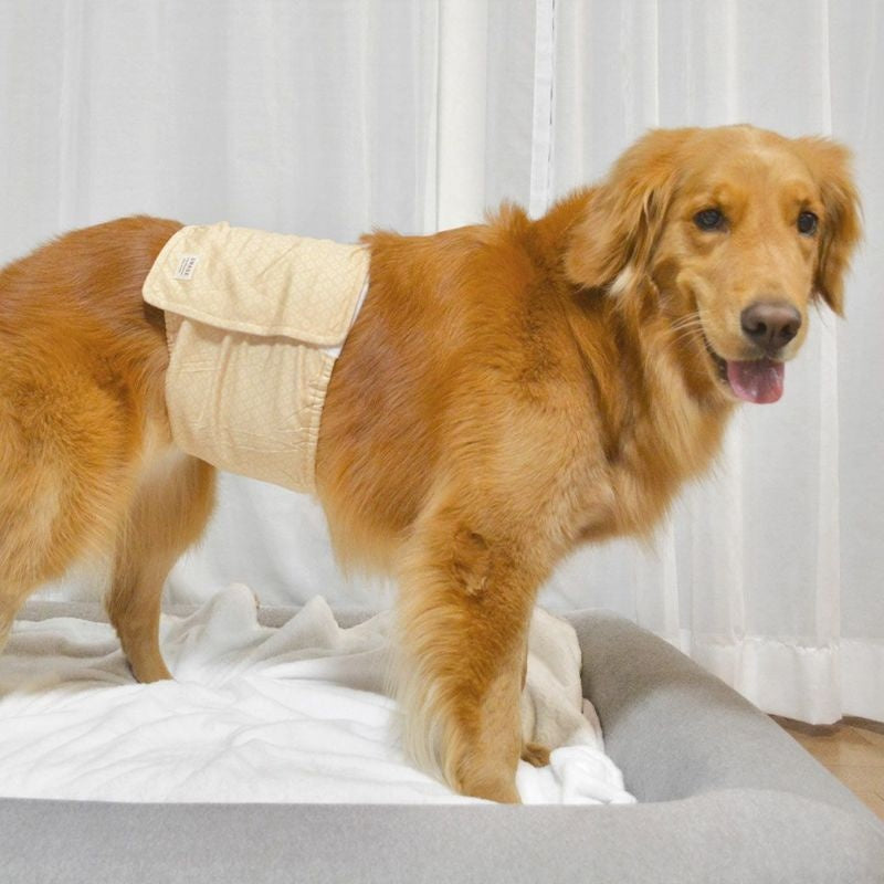 アイドッグ iDog UNAGE アンエイジ DANON 中大型犬用 ウェルネス温活ペット腹巻き アイドッグ メール便OK[16879]【シニア 犬用 服 セレブ】