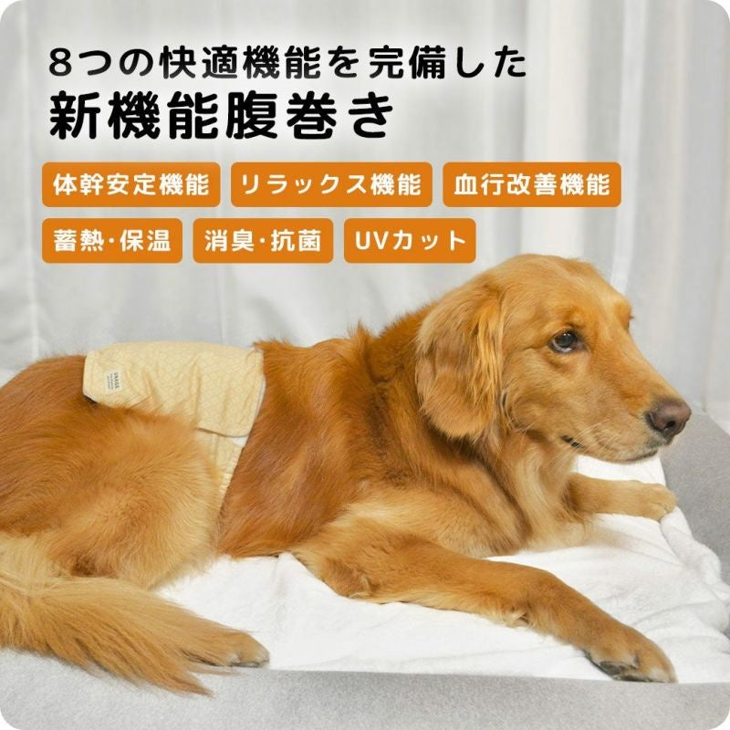 アイドッグ iDog UNAGE アンエイジ DANON 中大型犬用 ウェルネス温活ペット腹巻き アイドッグ メール便OK[16879]【シニア 犬用 服 セレブ】