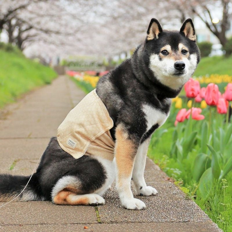 アイドッグ iDog UNAGE アンエイジ DANON 中大型犬用 ウェルネス温活ペット腹巻き アイドッグ メール便OK[16879]【シニア 犬用 服 セレブ】
