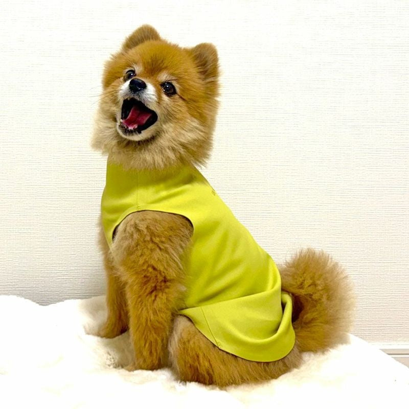 アイドッグ iDog UNAGE_JUGEM ZEROSEAM無縫製タンク アンエイジ ジュゲム アイドッグ メール便OK[17980]【シニア 犬用 服 セレブ】