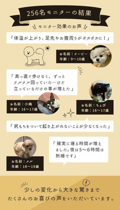 アイドッグ iDog UNAGE_JUGEM ZEROSEAM無縫製タンク アンエイジ ジュゲム アイドッグ メール便OK[17980]【シニア 犬用 服 セレブ】