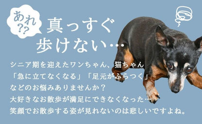 アイドッグ iDog UNAGE アンエイジ ウェルネスウェア AIRPUFF Light 後開きタンク メール便OK[16843]【シニア 犬用 服 セレブ】