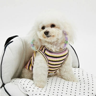 ルイスドッグ louisdog Cashmere Rainbow TOP【小型犬 犬用 トップス タンクトップ ノースリーブ セレブ】