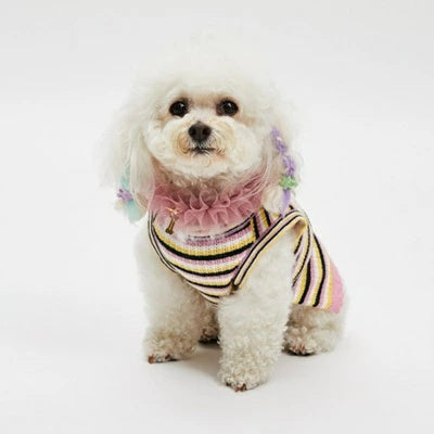 ルイスドッグ louisdog Cashmere Rainbow TOP【小型犬 犬用 トップス タンクトップ ノースリーブ セレブ】