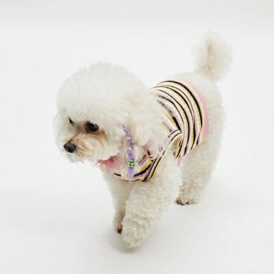 ルイスドッグ louisdog Cashmere Rainbow TOP【小型犬 犬用 トップス タンクトップ ノースリーブ セレブ】