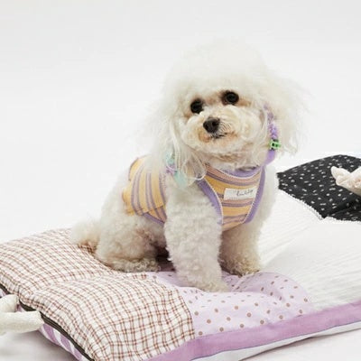 ルイスドッグ louisdog Sunny Pop Sleeveless【小型犬 犬用 トップス タンクトップ ノースリーブ セレブ】