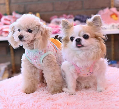 J&Kアニマルズ J&K animals☆予約受付中☆ハチTシャツ【小型犬 犬服 トップス Tシャツ 半袖】