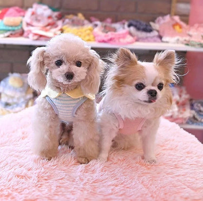 J&Kアニマルズ J&K animals☆予約受付中☆風船くまTシャツ【小型犬 犬服 トップス Tシャツ 半袖】