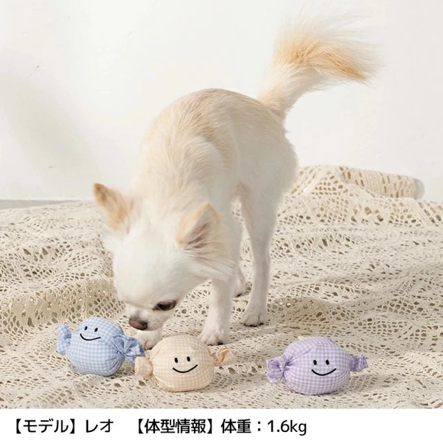 アントゥトゥ Un TouTou にこにこキャンディ F【小型犬 犬用 トーイ おもちゃ グッズ セレブ】