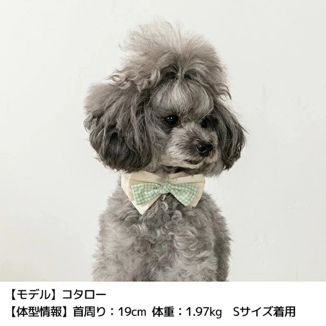 アントゥトゥ Un TouTou 蝶ネクタイスタイ【小型犬 犬服 犬用  アクセサリー スタイ グッズ セレブ】