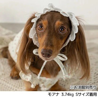 アントゥトゥ Un TouTou 小花柄レース帽子【小型犬 犬服 犬用  アクセサリー 帽子 グッズ セレブ】