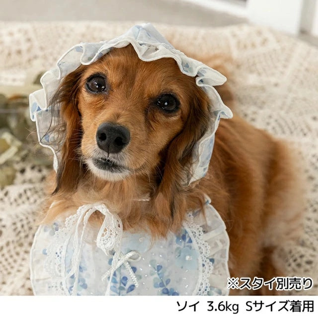 アントゥトゥ Un TouTou きらきらチュールフリル帽子【小型犬 犬服 犬用  アクセサリー 帽子 グッズ セレブ】