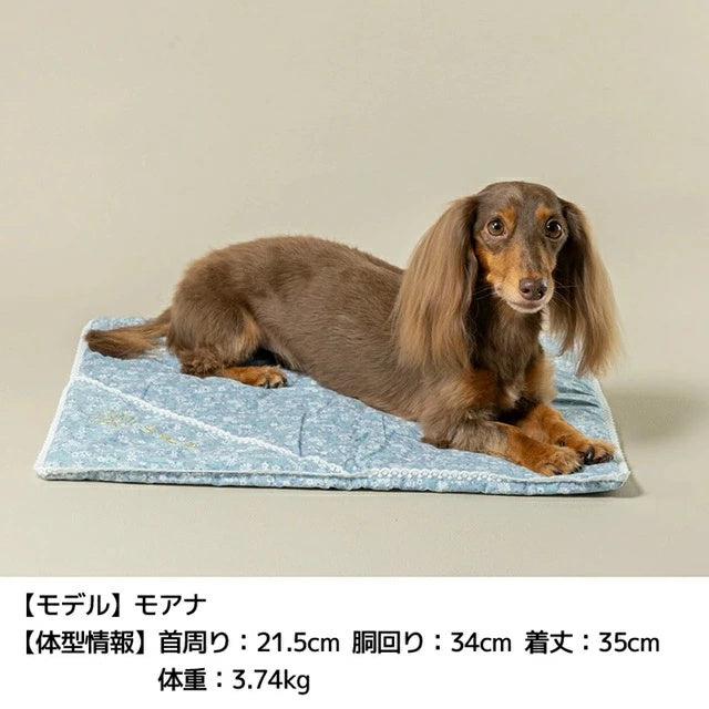 アントゥトゥ Un TouTou レース小花柄マット F【小型犬 犬用 マット ラグ クッション グッズ セレブ】