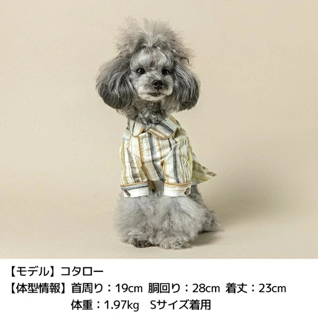アントゥトゥ Un TouTou マルチストライプシャツ【小型犬 犬用 犬服 トップス シャツ ブラウス セレブ】