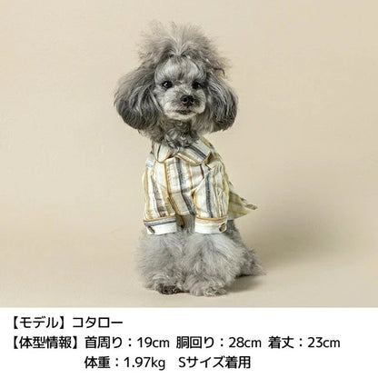 アントゥトゥ Un TouTou マルチストライプシャツ【小型犬 犬用 犬服 トップス シャツ ブラウス セレブ】